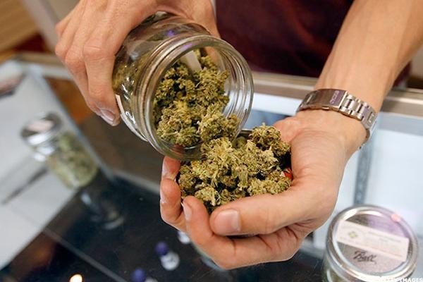 cheap weed